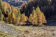 Due giorni tra i colori Orobici-72